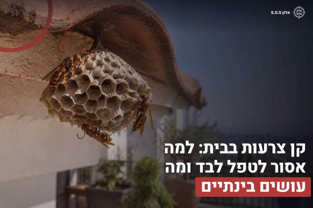 קן צרעות