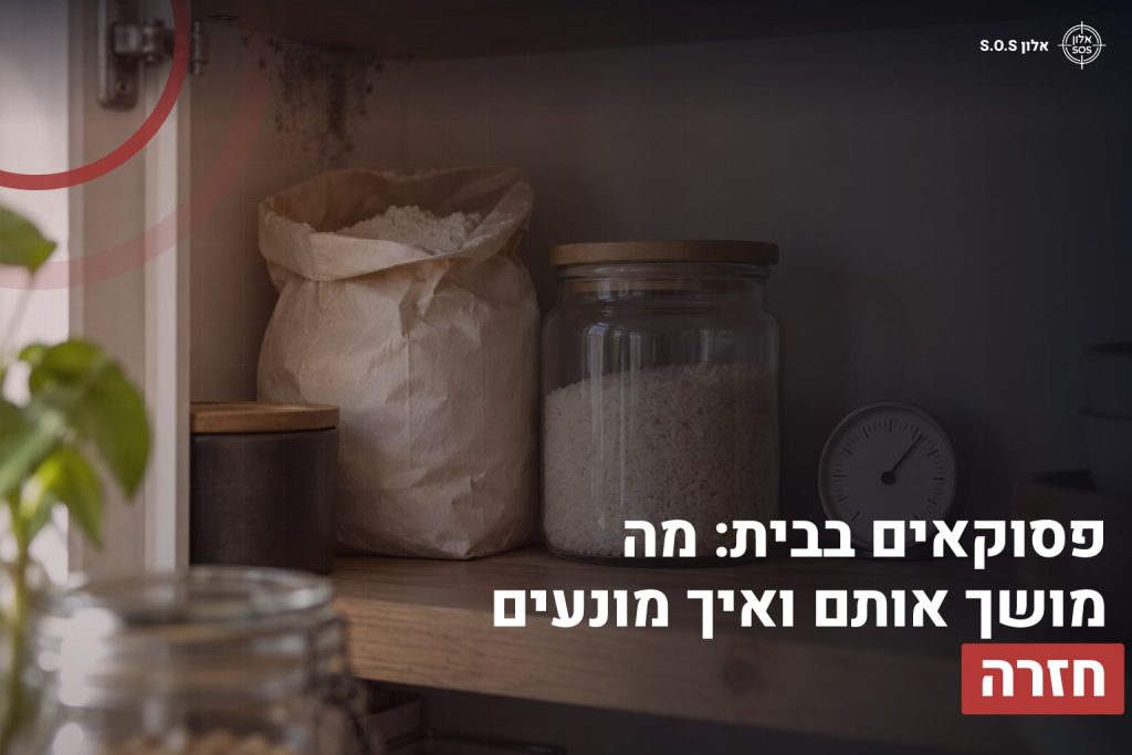 פסוקאים בבית